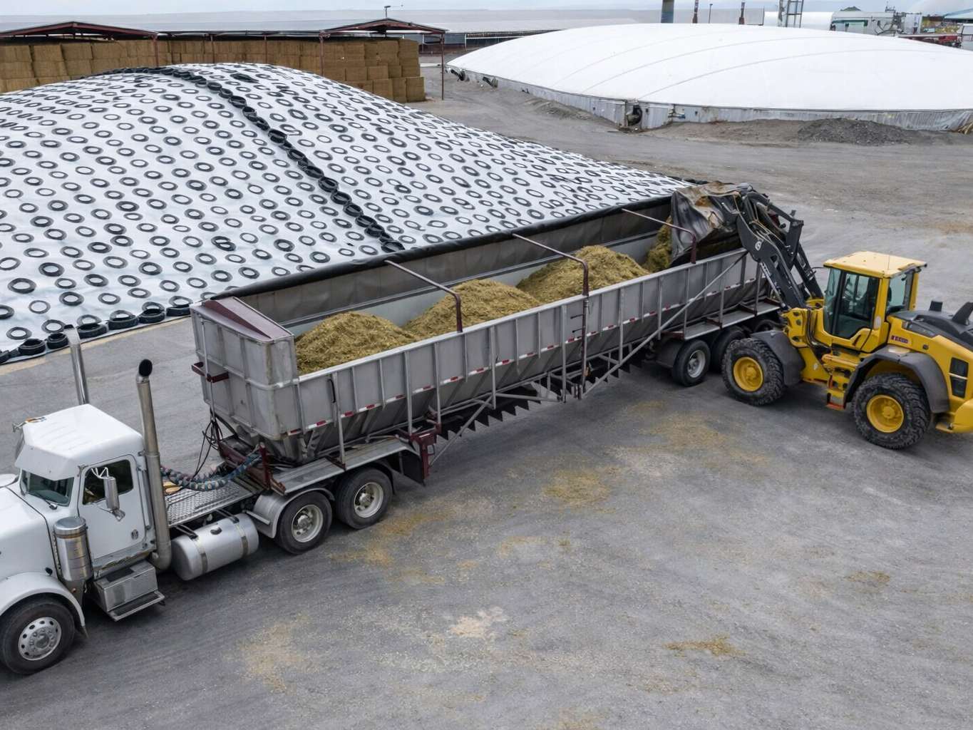 Wheel Loader Maintenance Tips to Survive Harvest Season on Farms & Livestock Operations in 2026