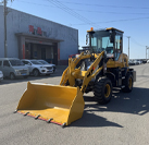 ZL920 MINI WHEEL LOADER