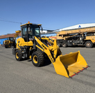 ZL920 MINI WHEEL LOADER