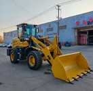Cargadora de ruedas MINI ZL930